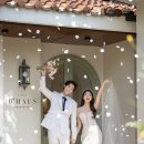 디하우스 이미지