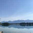 비하이브컴퍼니 | [캐나다 서부여행] Day 4. 페이토호수(Peyto Lake), 보우호수(Bow Lake), 레이크루이스 트래킹 Lake...