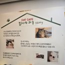 집사의하루 혜화점 이미지