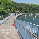 (일상) 힘들땐 어떻게 건너갔나요? 그냥 힘들어 했더니 지나갔어요!