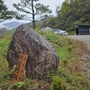 [열두번째캠핑] 가을 단풍 캠핑 단양 도담 캠핑장 P4 사이트 후기