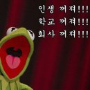 커밋 이미지