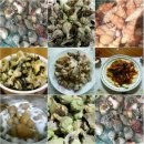 맛나는 영덕대게 후기 들고왔답니데이~<영덕대게태흥 영덕대게가격>