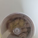 [머슬코리아 후기 1] ECA SHRED 체지방 연소 커팅제