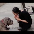 르클레어 이미지
