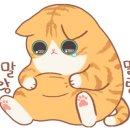 탑그루밍 이미지