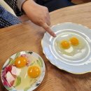 명진계란 이미지