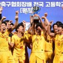 진부체육공원 천연잔디구장 이미지