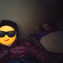 고흥-10호 이미지