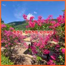 강진군도서관 | 여행 코스 추천] 정약전 유배지 사리마을 자산어보 탄생지 사촌서당·흑산성당 사리공소·자산문화도서관