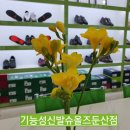 슈올즈 둔산점 이미지