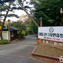 대둔산자연휴양림 티스토리