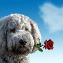 목동동물병원 이미지