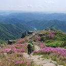 2022. 5. 7(토) 전남 화순 안양산~광주 무등산(1,187m) 진분홍빛 철쭉! & 입석대~서석대 주상절리, 전주 다정집 ⑤ 이미지