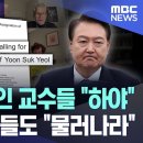 미주 한인 교수 연구자 윤씨 하야 시국선언 이미지