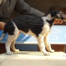 스테이 리네 이미지