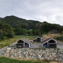 단델리온풀빌라 | 단양 풀빌라 펜션 신상 신축 감성 숙소 단델리온 후기