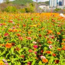 대궐파크 이미지