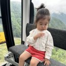 호돌이카 이미지