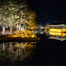 안압지 | 경주 야경 명소 동궁과 월지 안압지 2월 방문 후기