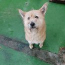 거제면사무소 이미지