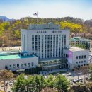 싱글싱글 이미지