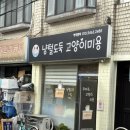 고양이 무마취 미용 냥털도둑 이미지