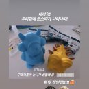 (주)페슬러 | 대형견도 잘 가지고 노는 페슬러 네추라너리쉬 노즈워크 장난감 후기