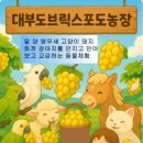 도양농장 이미지