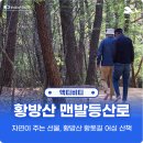 황방산 맨발걷기 | 부모님과 가기 좋은 울산 명소, 황방산 맨발 걷기 등산로 가이드