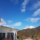 별빛농장 이미지