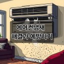 곰팡이 에어컨냄새 해결방법과 예방하기