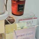 볼로(VOLO) | ✨ 화곡역 네일샵 추천 감성까지 완벽했던 볼로네일 방문 후기 💅