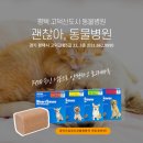 평택고덕 LH 2단지 | 평택 고덕신도시 동물병원, 괜찮아동물병원! 강아지 심장사상충예방은 하트세이버 추천!