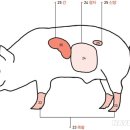 고기수첩 이미지