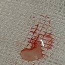 크라운 동물병원 이미지