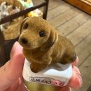 두가 | 🍣 “실패 없는 삿포로 여행 후기 맛집·숙소·핫플 총정리” 🧳 - ➂