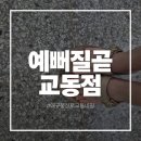 오렌지네일 - 창원시 마산회원구 삼계4길 34 | 대구 동성로 교동 반월당 네일 예뻐질곧 교동점 긴급 수술제거네일 후기