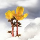 술렁술렁 이미지