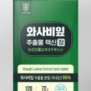 와사비랩
