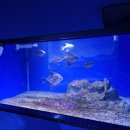 수산과학관 이미지