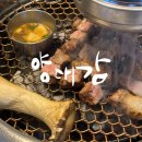 제주공항 근처 흑돼지 맛집 양대감 노형점 솔직후기
