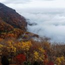 사천리광장 이미지