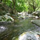 청아퓨전 이미지