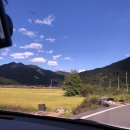 삼랑진농협 하나로마트 이미지