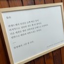 통영 봄날의책방 방문후기