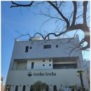 고스고스2 이미지