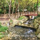 30.0커피