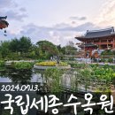 국립 세종 수목원 야간개장 데이트 코스로 가볼 만한 세종 여행지 입장료