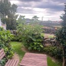 너와제주 | 제주 에어비앤비 감성숙소 I '너와제주' 내돈내산 후기